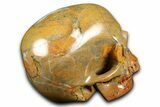 Realistic Columnar Stromatolite Skull #382155-4